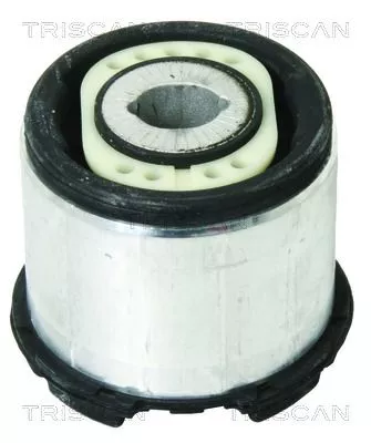 Bus, asbalk TRISCAN 8500 29873)