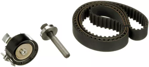 Distributieriemset GATES K025669XS)