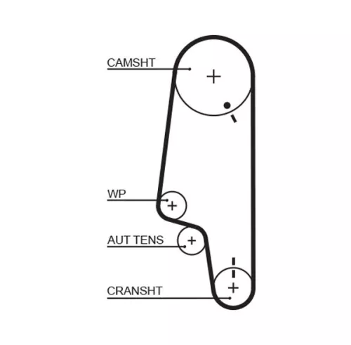 Distributieriem GATES 5428XS)