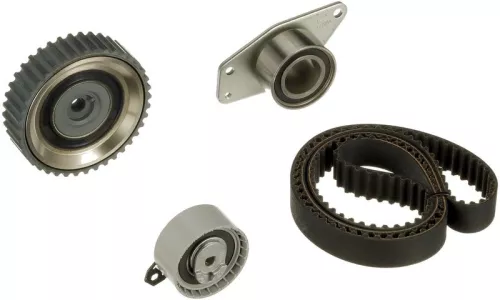 Distributieriemset GATES K025561XS)