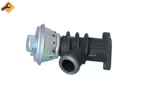 EGR-klep NRF 48387)