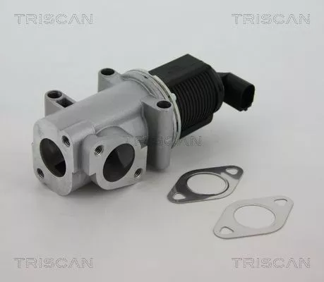 EGR Valve TRISCAN 8813 10015)