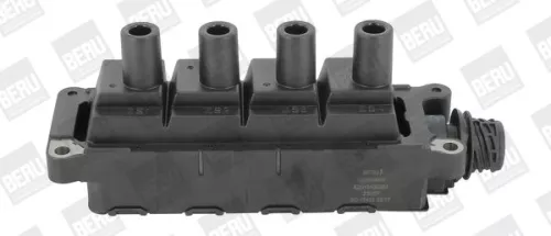 Bobine BorgWarner (BERU) ZS307)