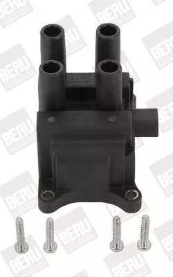 Bobine BorgWarner (BERU) ZS387)