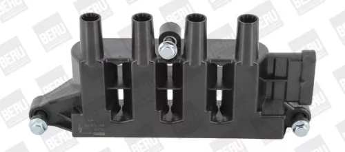 Bobine BorgWarner (BERU) ZS079)