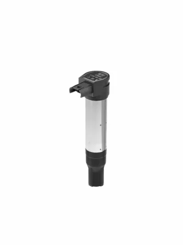 Ignition Coil BorgWarner ZS385)