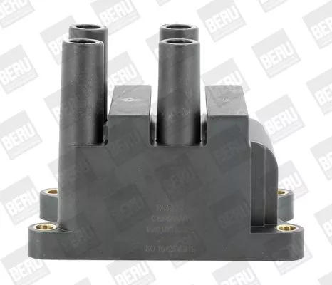 Bobine BorgWarner (BERU) ZS556)
