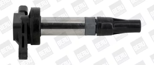 Ignition Coil BorgWarner (BERU) ZSE196)