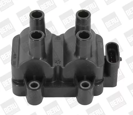 Bobine BorgWarner (BERU) ZS354)