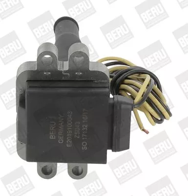 PEN BOBINE BorgWarner (BERU) ZS043)