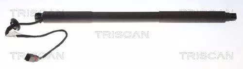 Gasveer, kofferbak/laadruimte TRISCAN 8710 27301)