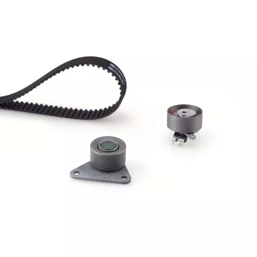 Distributieriemset GATES K015509XS)