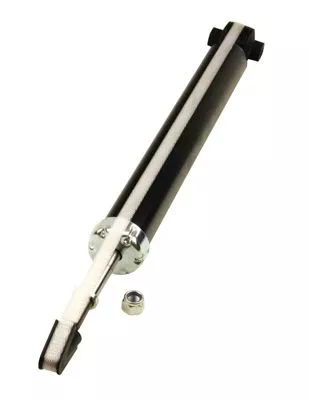 Schokdemper MAXGEAR 11-1172)