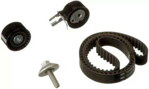 Distributieriemset GATES K015587XS)