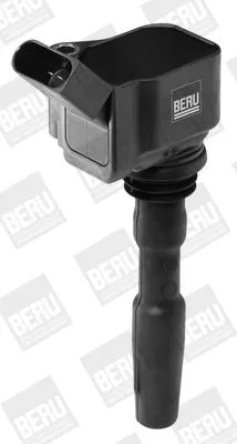 Bobine BorgWarner (BERU) ZSE126)