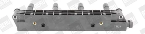 Bobine BorgWarner (BERU) ZS259)