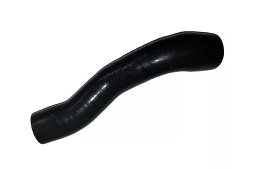 Laadluchtslang BUGIAD 88583)