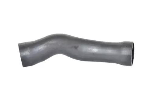 Laadluchtslang BUGIAD 88587)