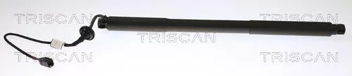 Gasveer, kofferbak/laadruimte TRISCAN 8710 27302)