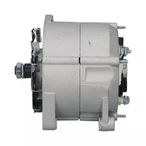 Dynamo  444407)