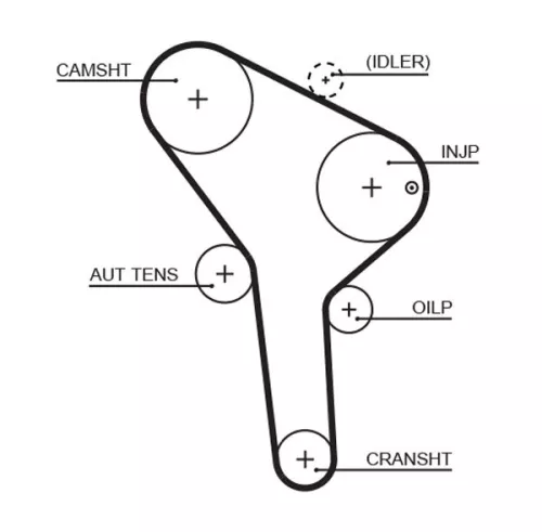 Distributieriem GATES 5564XS)