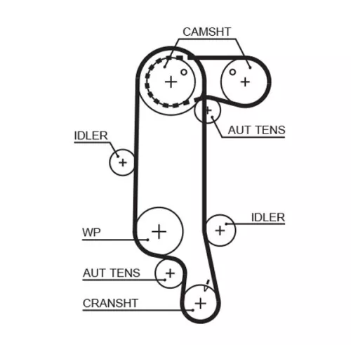 Timing Belt GATES 5565XS)
