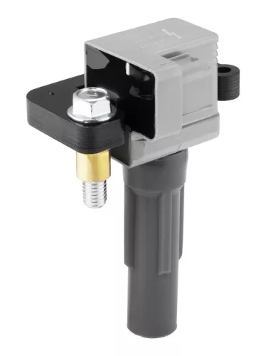 Bobine BorgWarner (BERU) ZSE313)