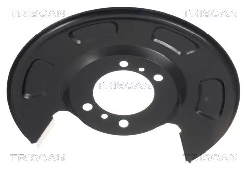 Spatbord, remschijf TRISCAN 8125 18209)