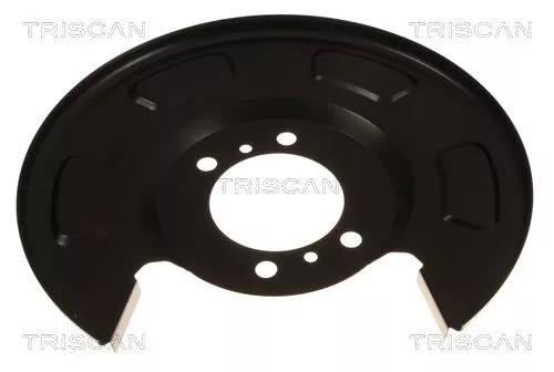 Spatbord, remschijf TRISCAN 8125 18210)