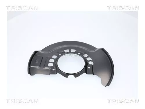Spatbord, remschijf TRISCAN 8125 13137)