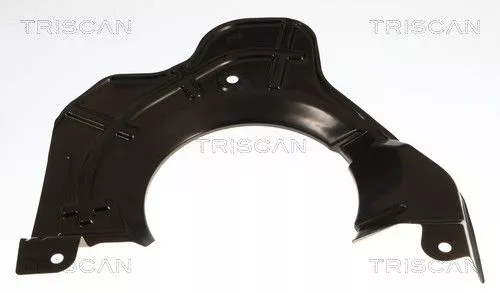 Spatbord, remschijf TRISCAN 8125 10101)