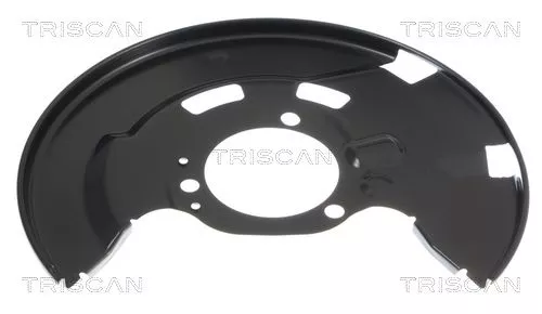 Spatbord, remschijf TRISCAN 8125 24125)