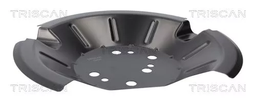 Spatbord, remschijf TRISCAN 8125 16219)