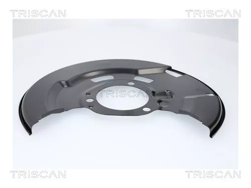 Spatbord, remschijf TRISCAN 8125 24124)