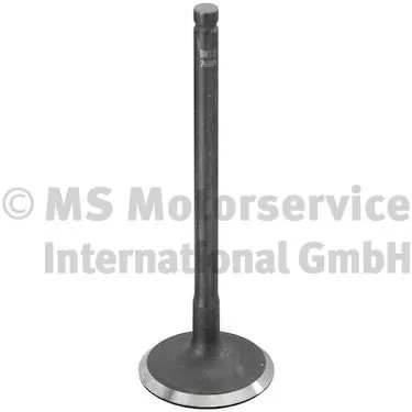 Inlaatklep TRW Engine Component 769000)