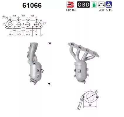 Katalysator AS 61066)