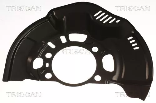 Spatbord, remschijf TRISCAN 8125 13126)