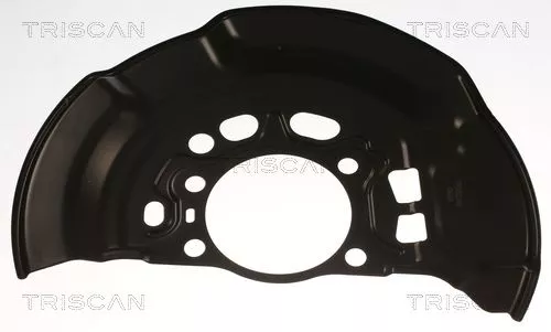 Spatbord, remschijf TRISCAN 8125 13124)