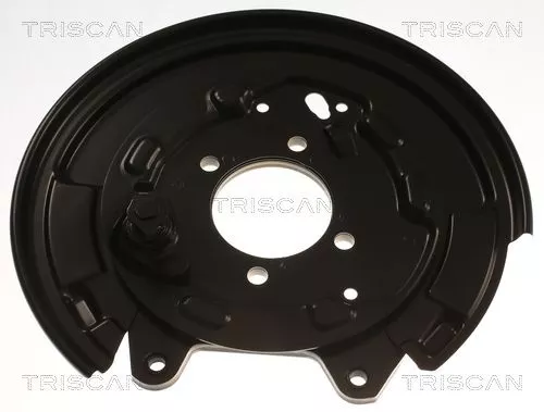 Spatbord, remschijf TRISCAN 8125 13222)