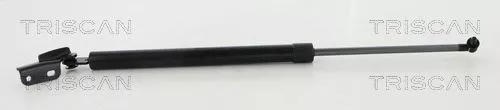 Gasveer, kofferbak/laadruimte TRISCAN 8710 68223)