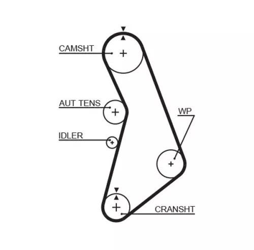 Timing Belt GATES 5491XS)