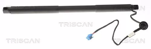 Gasveer, kofferbak/laadruimte TRISCAN 8710 23304)
