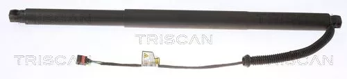 Gasveer, kofferbak/laadruimte TRISCAN 8710 29304)
