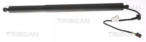 Gasveer, kofferbak/laadruimte TRISCAN 8710 43301)