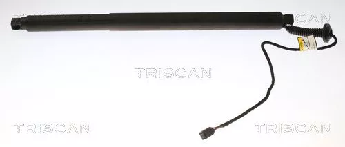 Gasveer, kofferbak/laadruimte TRISCAN 8710 27303)