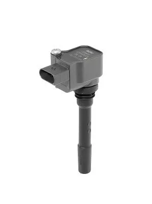 PEN BOBINE BorgWarner (BERU) ZSE225)