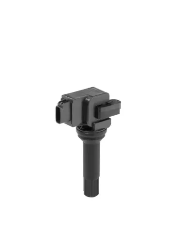 Ignition Coil BorgWarner ZSE290)