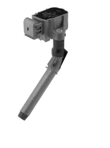Bobine BorgWarner (BERU) ZSE263)
