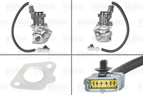 EGR-klep VALEO 700412)