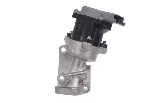 EGR-klep VALEO 700411)